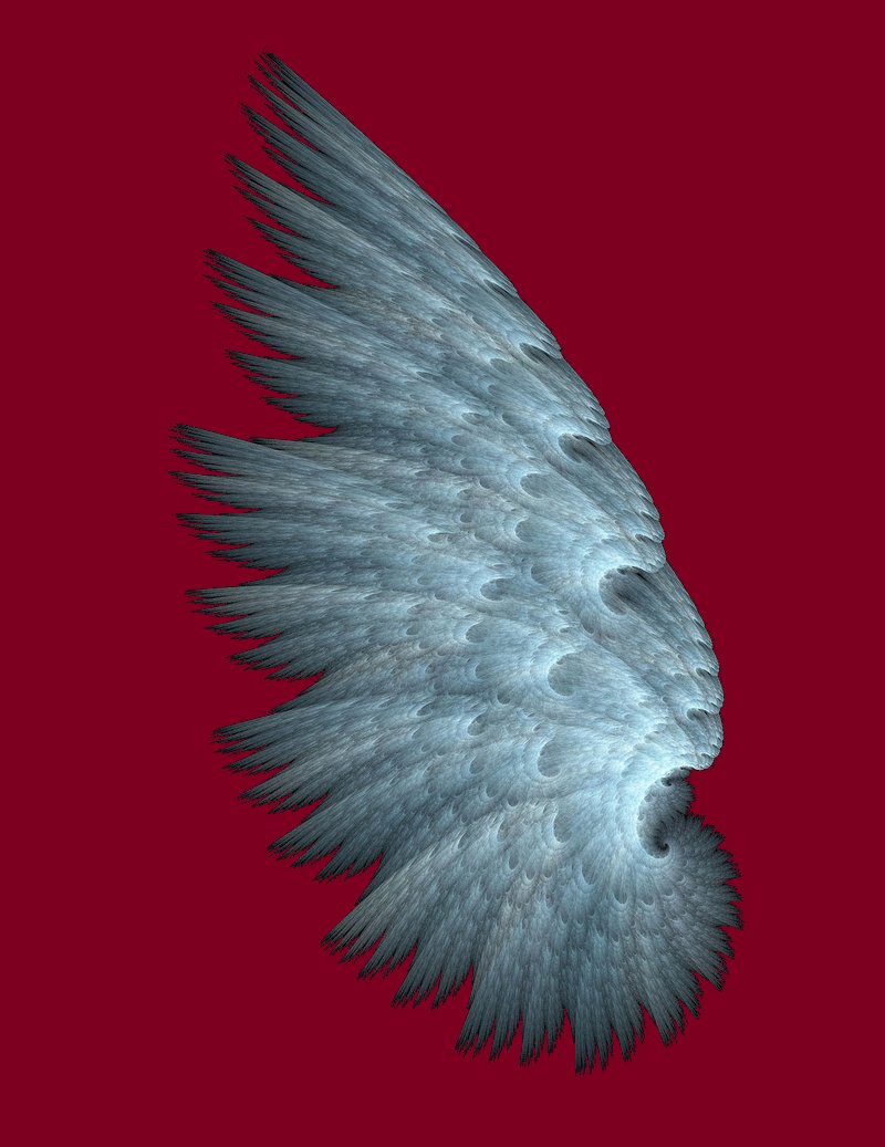 Angel Wing left