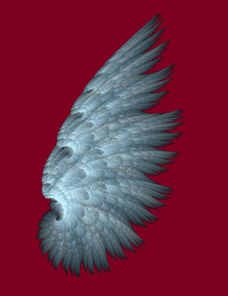 Angel Wing right