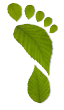 Ecological footprint